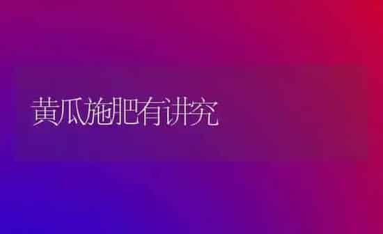 黄瓜施肥有讲究 | 种植肥料施肥