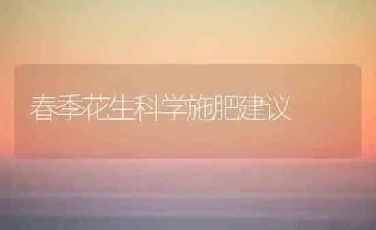 春季花生科学施肥建议 | 种植肥料施肥