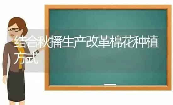 结合秋播生产改革棉花种植方式 | 植物种植百科