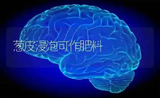 葱皮浸泡可作肥料 | 种植肥料施肥
