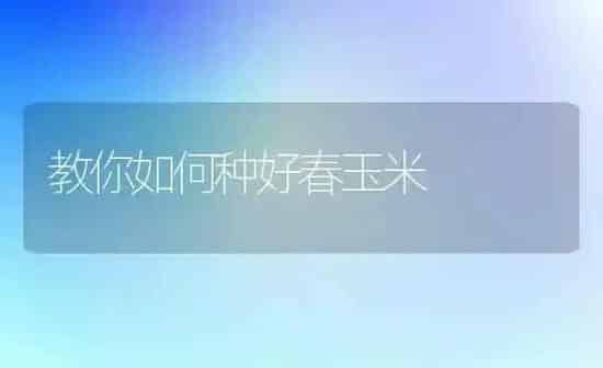 教你如何种好春玉米 | 粮油作物种植
