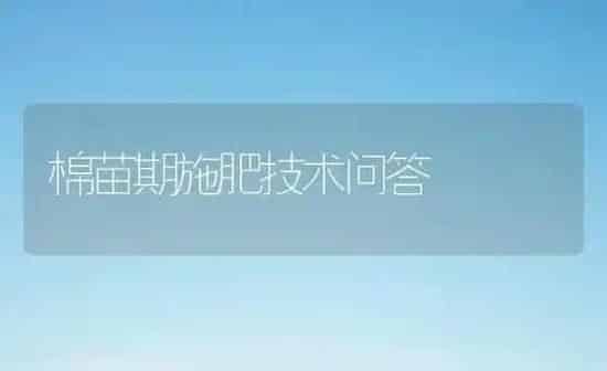 棉苗期施肥技术问答 | 种植肥料施肥