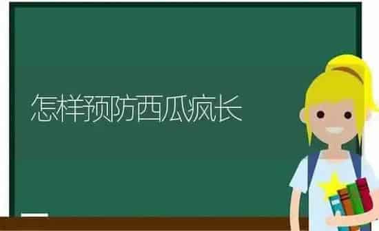 怎样预防西瓜疯长 | 瓜果种植