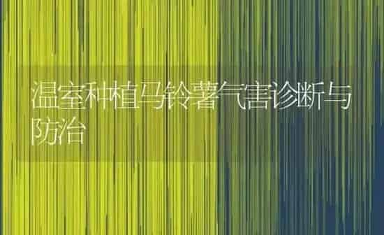 温室种植马铃薯气害诊断与防治 | 植物种植百科