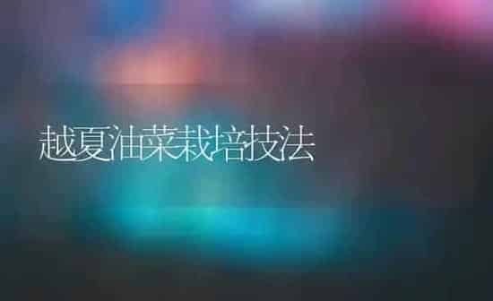 越夏油菜栽培技法 | 粮油作物种植