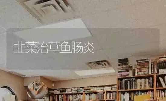 韭菜治草鱼肠炎 | 蔬菜种植