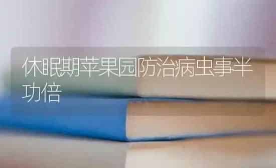 休眠期苹果园防治病虫事半功倍 | 瓜果种植