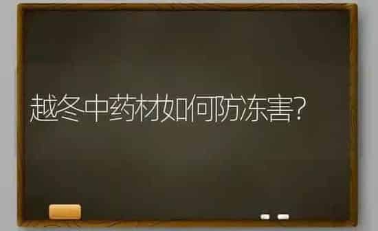 越冬中药材如何防冻害？ | 药材种植
