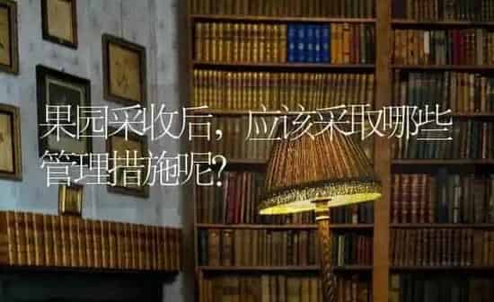 果园采收后，应该采取哪些管理措施呢？ | 瓜果种植