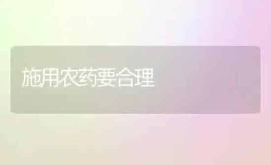 施用农药要合理 | 种植病虫害防治