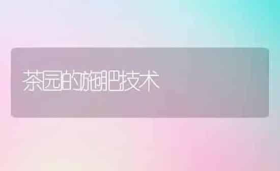 茶园的施肥技术 | 种植肥料施肥