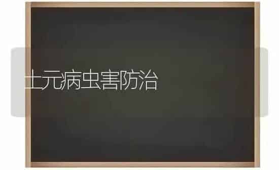 土元病虫害防治 | 种植病虫害防治