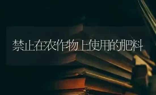 禁止在农作物上使用的肥料 | 种植肥料施肥