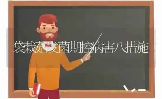 袋栽菇发菌期控病害八措施 | 食用菌种植