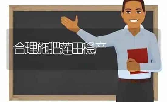 合理施肥莲田稳产 | 种植肥料施肥