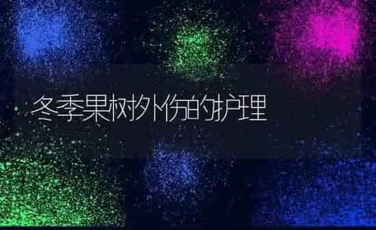 冬季果树外伤的护理 | 瓜果种植