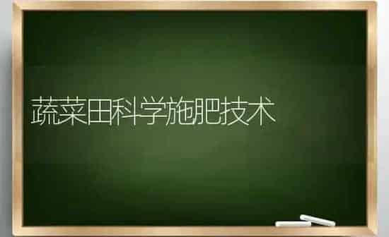 蔬菜田科学施肥技术 | 蔬菜种植