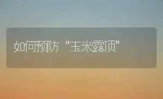 如何预防“玉米露顶” | 粮油作物种植