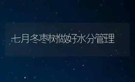 七月冬枣树做好水分管理 | 瓜果种植