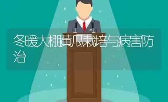 冬暖大棚黄瓜栽培与病害防治 | 蔬菜种植