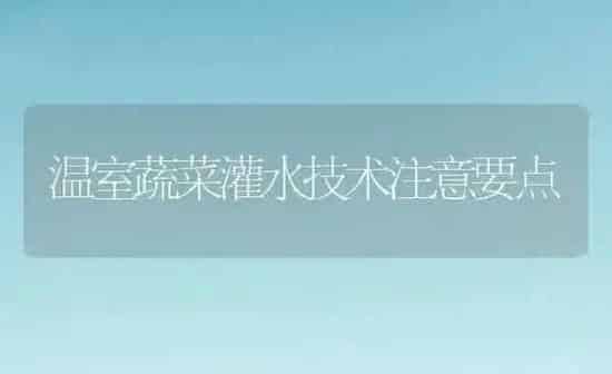 温室蔬菜灌水技术注意要点 | 蔬菜种植