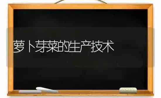 萝卜芽菜的生产技术 | 蔬菜种植