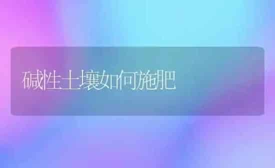 碱性土壤如何施肥 | 种植肥料施肥