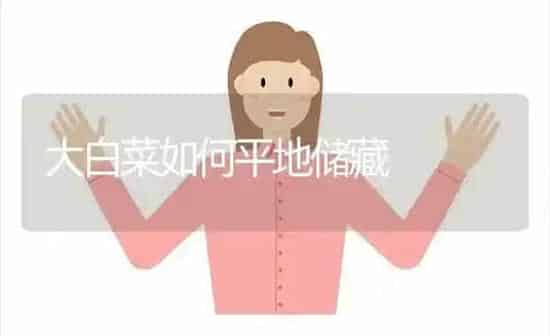 大白菜如何平地储藏 | 蔬菜种植