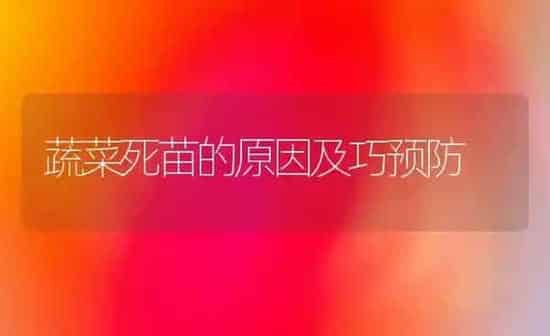 蔬菜死苗的原因及巧预防 | 蔬菜种植