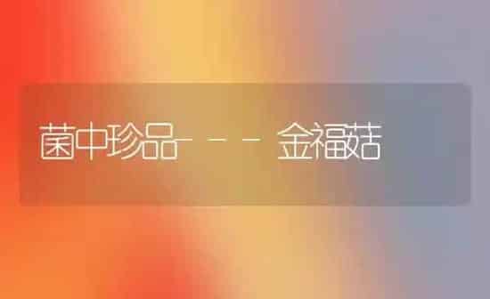 菌中珍品---金福菇 | 食用菌种植