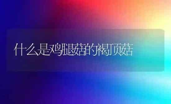 什么是鸡腿菇的褐顶菇 | 食用菌种植