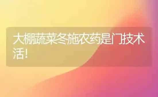 大棚蔬菜冬施农药是门技术活！ | 蔬菜种植