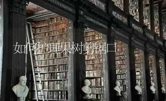 如何护理果树剪锯口 | 瓜果种植