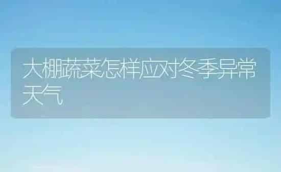 大棚蔬菜怎样应对冬季异常天气 | 蔬菜种植