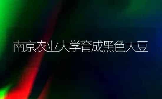 南京农业大学育成黑色大豆 | 粮油作物种植