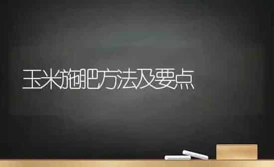 玉米施肥方法及要点 | 种植肥料施肥