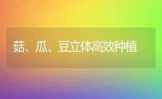 菇、瓜、豆立体高效种植 | 食用菌种植