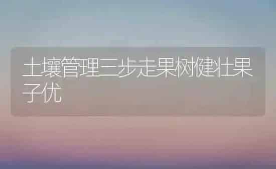 土壤管理三步走果树健壮果子优 | 瓜果种植