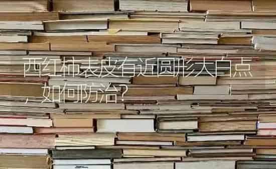 西红柿表皮有近圆形大白点，如何防治？ | 蔬菜种植