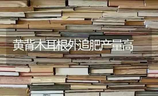 黄背木耳根外追肥产量高 | 食用菌种植