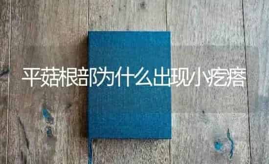 平菇根部为什么出现小疙瘩 | 食用菌种植