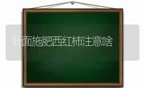 叶面施肥西红柿注意啥 | 种植肥料施肥