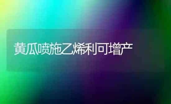 黄瓜喷施乙烯利可增产 | 蔬菜种植