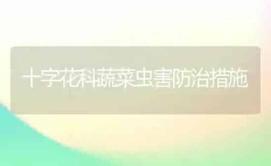 十字花科蔬菜虫害防治措施 | 蔬菜种植