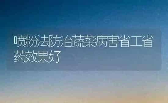 喷粉法防治蔬菜病害省工省药效果好 | 蔬菜种植