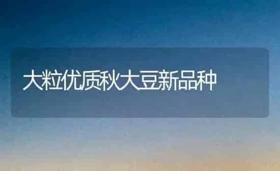 大粒优质秋大豆新品种 | 粮油作物种植