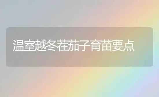 温室越冬茬茄子育苗要点 | 蔬菜种植