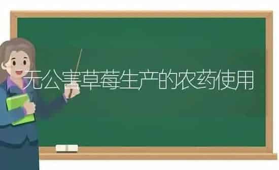 无公害草莓生产的农药使用 | 种植病虫害防治