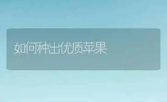 如何种出优质苹果 | 瓜果种植