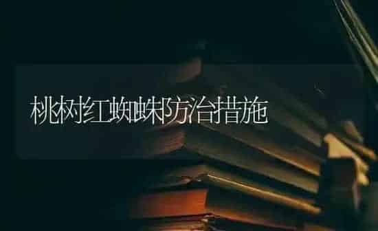 桃树红蜘蛛防治措施 | 瓜果种植